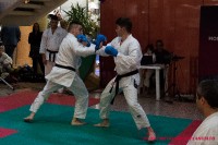 ADEL Pescara-16
