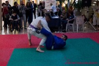 ADEL Pescara-18