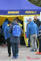 Pregara-66