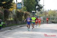Via Chiarini-87